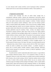 Vilniaus oro uosto ir Lietuvos geležinkelių socialiai atsakinga veikla 11 puslapis