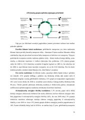 Vilniaus oro uosto ir Lietuvos geležinkelių socialiai atsakinga veikla 15 puslapis