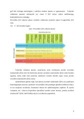 Vilniaus oro uosto ir Lietuvos geležinkelių socialiai atsakinga veikla 7 puslapis
