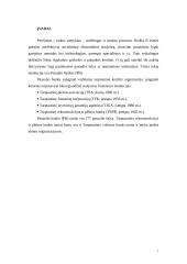 Pasaulio bankas (PB) 2 puslapis