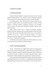 Pasaulio bankas (PB) 7 puslapis