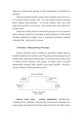 Pasaulio bankas (PB) 8 puslapis