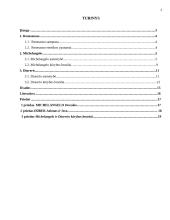 Renesanso estetikos ypatumai: Mikelandželas ir Diureris 2 puslapis