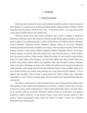 Renesanso estetikos ypatumai: Mikelandželas ir Diureris 11 puslapis