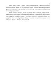 Renesanso estetikos ypatumai: Mikelandželas ir Diureris 14 puslapis