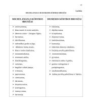 Renesanso estetikos ypatumai: Mikelandželas ir Diureris 19 puslapis