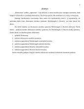 Renesanso estetikos ypatumai: Mikelandželas ir Diureris 3 puslapis