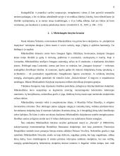 Renesanso estetikos ypatumai: Mikelandželas ir Diureris 9 puslapis