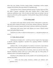 Transporto paslaugų tarifai ir frachtai, jų klasifikavimas 11 puslapis