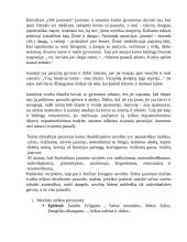 Adomas Mickevičius „Odė jaunystei“ - interpretacija 3 puslapis