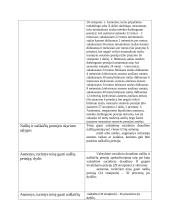 Pensijų socialinis draudimas 2 puslapis