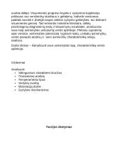 Savęs, kaip asmenybės, analizė verslo aplinkoje 2 puslapis