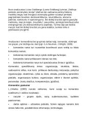 Savęs, kaip asmenybės, analizė verslo aplinkoje 3 puslapis