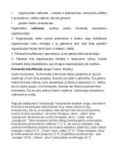 Savęs, kaip asmenybės, analizė verslo aplinkoje 4 puslapis