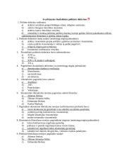 Svarbiausios šiuolaikinės politinės doktrinos