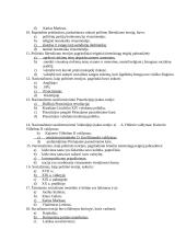 Svarbiausios šiuolaikinės politinės doktrinos 2 puslapis