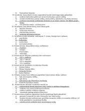 Svarbiausios šiuolaikinės politinės doktrinos 3 puslapis