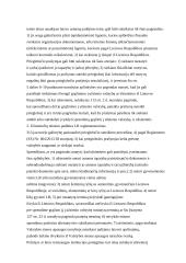 Užsieniečių teisinė padėtis 13 puslapis