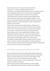 Užsieniečių teisinė padėtis 19 puslapis