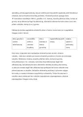 Užsieniečių teisinė padėtis 4 puslapis