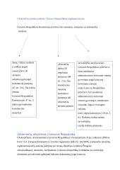 Užsieniečių teisinė padėtis 5 puslapis
