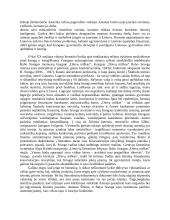 Literatūra – istorinės patirties liudijimas (Radvanas, Škėma, Sruoga) 2 puslapis