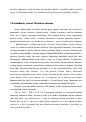 Akademinio jaunimo darbinė ir finansinė situacija 11 puslapis