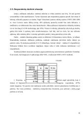 Akademinio jaunimo darbinė ir finansinė situacija 18 puslapis
