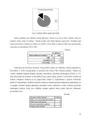 Akademinio jaunimo darbinė ir finansinė situacija 19 puslapis