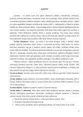 Akademinio jaunimo darbinė ir finansinė situacija 3 puslapis