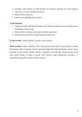 Akademinio jaunimo darbinė ir finansinė situacija 4 puslapis