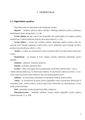 Akademinio jaunimo darbinė ir finansinė situacija 5 puslapis