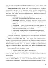 Akademinio jaunimo darbinė ir finansinė situacija 10 puslapis