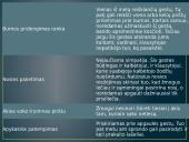 Žmogaus kūno kalba bei gestai 8 puslapis