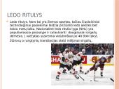 Komandinės sporto šakos, kurios vyksta vasarą ir žiemą 4 puslapis