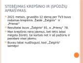 Komandinės sporto šakos, kurios vyksta vasarą ir žiemą 5 puslapis