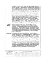 Kūrinio „Dėdės ir dėdienės“ apžvalga 2 puslapis