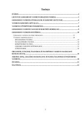 Vandens ruoša miesto geriamajam vandeniui 2 puslapis