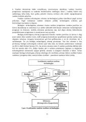 Vandens ruoša miesto geriamajam vandeniui 11 puslapis
