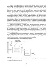 Vandens ruoša miesto geriamajam vandeniui 12 puslapis