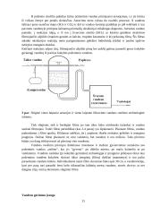 Vandens ruoša miesto geriamajam vandeniui 13 puslapis