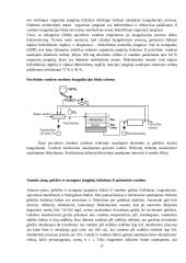 Vandens ruoša miesto geriamajam vandeniui 17 puslapis