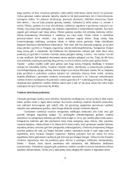 Vandens ruoša miesto geriamajam vandeniui 8 puslapis