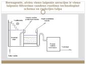Vandens ruoša miesto geriamajam vandeniui (kursinio darbo skaidrės) 19 puslapis