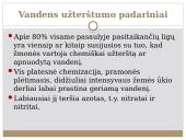 Vandens ruoša miesto geriamajam vandeniui (kursinio darbo skaidrės) 6 puslapis
