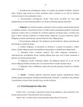 Vertybinių popierių portfelis 12 puslapis