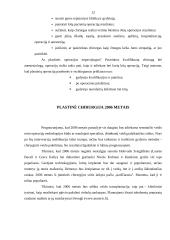 Grožio kultas visuomenėje 11 puslapis