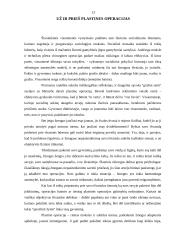 Grožio kultas visuomenėje 12 puslapis