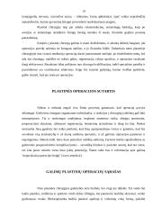 Grožio kultas visuomenėje 13 puslapis