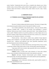 Grožio kultas visuomenėje 14 puslapis